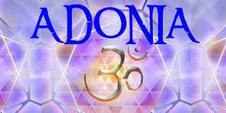 Adonia - Vol.8 negative