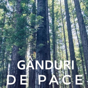 Adrian Cost - Gânduri de pace (2020)