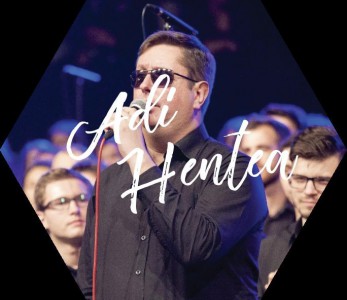 Ady Hentea - Selectii Negative