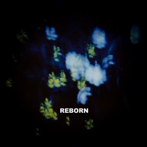 Alin Andrei - Reborn (2021)