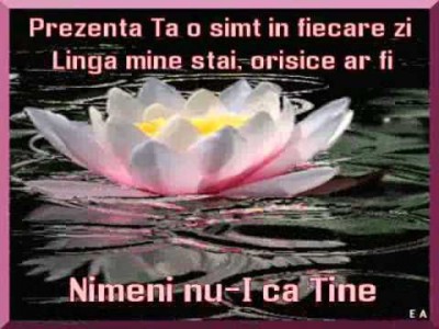 Alina si Luisa Mandiuc - Nimeni nu-i ca Tine (2007)