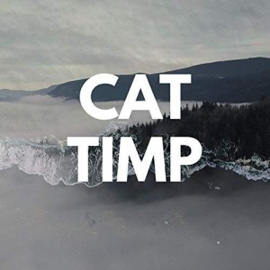 Ana Florea - Cat Timp (2019)