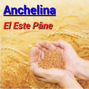 Anghelina - El este Pâne (2011)