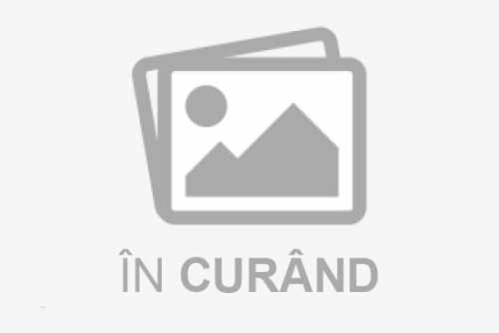 Gabriela Negrea - Apartin Regelui