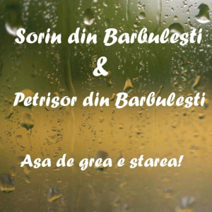 Sorin din Barbulesti - Asa De Grea E Starea! (2021)