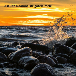 Sora Morghitv - Ascultă Doamne Strigătele Mele (2024)