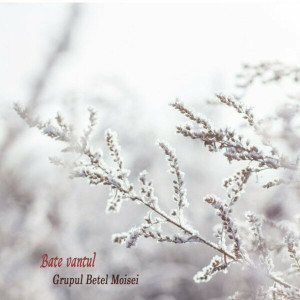 Grup Betel Moisei - Bate Vantul (2023)