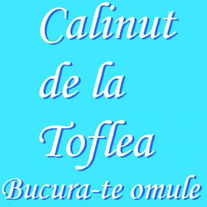 Calinut De La Toflea - Bucura-te omule