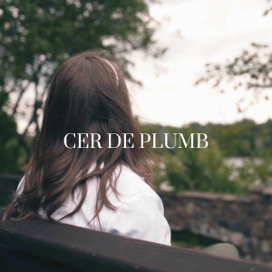Agnes Alba - Cer De Plumb (2025)