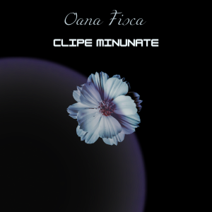 Oana Fisca - Clipe Minunate