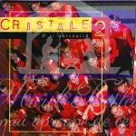 Cristale - O zi obisnuita Negative Vol.2
