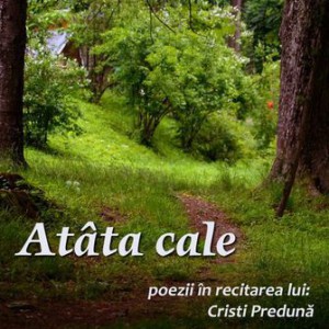 Cristi Preduna - Atata cale