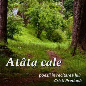 Cristinel Preduna - Atata Cale Poezii