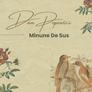 Dan Popovici - Minune De Sus (2011)