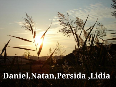 Daniel Natan Persida Lidia - Colectii