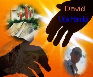 David Teodor - Usa harului