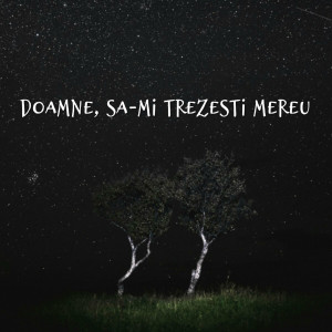 Muzica Crestina Noua - Doamne, Sa-Mi Trezesti Mereu (2024)