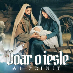 Alex din Mizil - Doar O Iesle Ai Primit (2024)