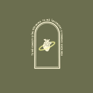 TD8 - Domn Minunat (2023)