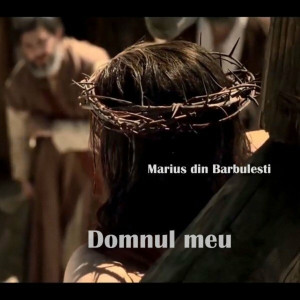 Marius Din Barbulesti - Domnul Meu (2012)