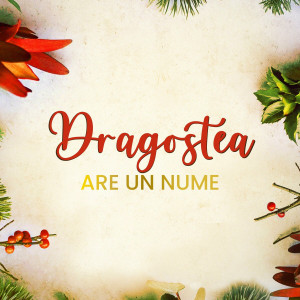 NG Worship - Dragostea Are Un Nume (2024)