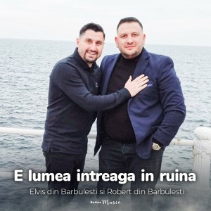 Elvis din Barbulesti - E Lumea Intreaga In Ruină (2022)