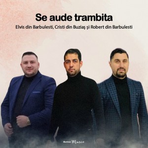 Elvis din Barbulesti - Se Aude Trambita (2022)