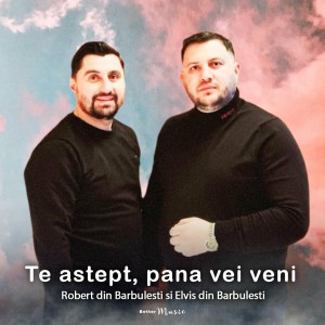 Elvis din Barbulesti - Te Astept, Pana Vei Veni (2022)