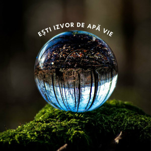 Ovidiu Roman - Ești Izvor De Apă Vie (2022)