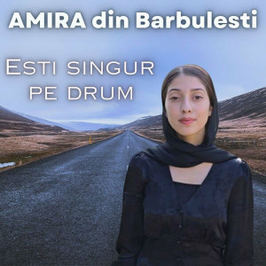 Amira Din Barbulesti - Esti Singur Pe Drum (2024)