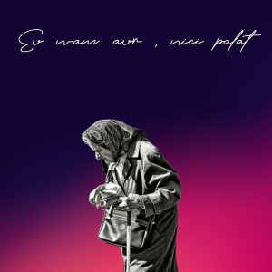 Various Artists - Eu N-Am Aur , Nici Palat (2024)