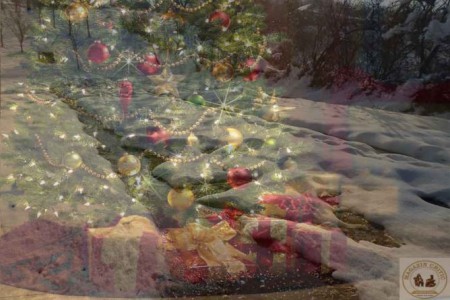 Evanghelic - Colinde 2