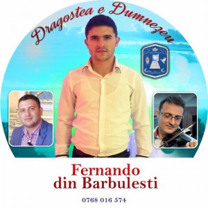 Fernando din Bărbulești - Dragostea e Dumnezeu Vol.2 (2015)