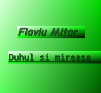 Flaviu Mitar - Duhul si mireasa (1992)