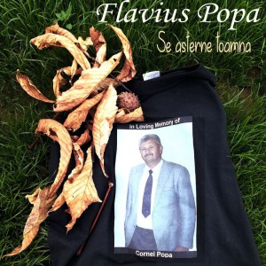 Flavius Popa - Se așterne toamna (In Loving Memory of Cornel Popa) (Radio Edit) (2020)