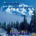 Florin Pal - Tu omule stii cine esti vol.2 (2006)