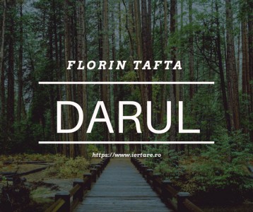Florin Tafta - Darul