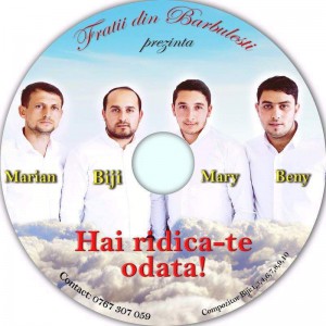Fratii Din Bărbulești - Hai Ridică-te Odată Negative (2016)