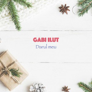 Gabi Ilut - Darul Meu (2011)