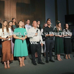 Gabriel Gorcea si Prietenii - Gabriel Gorcea Si Prietenii, Vol. 14 (2024)