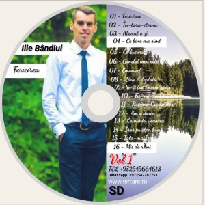 Ilie Bândiul - Fericirea Vol.1 (2016)