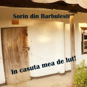 Sorin din Barbulesti - In Casuta Mea De Lut! (2009)