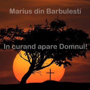 Marius Din Barbulesti - In Curand Apare Domnul! (2017)
