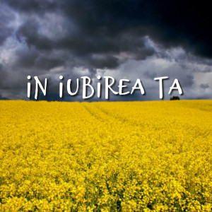 Muzica Crestina Noua - In Iubirea Ta (2024)