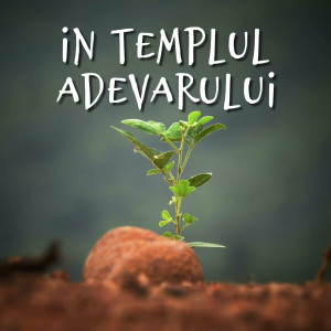 Muzica Crestina Noua - In Templul Adevarului (2024)