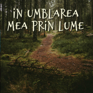 Muzica Crestina Noua - In Umblarea Mea Prin Lume (2024)