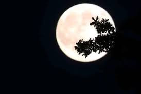 Adrian Bungau - La miez de noapte