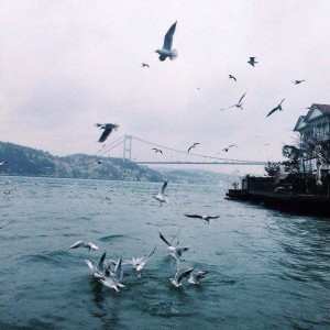 Liana si Dana - Rasuna astazi in toate tarile - Negative