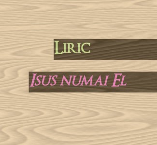 Liric - Isus numai El
