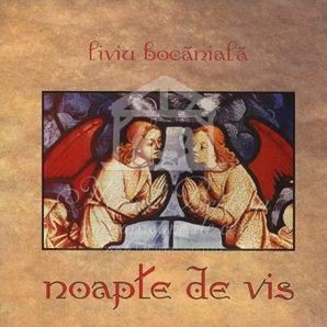 Liviu Bocaneala - Noapte de vis